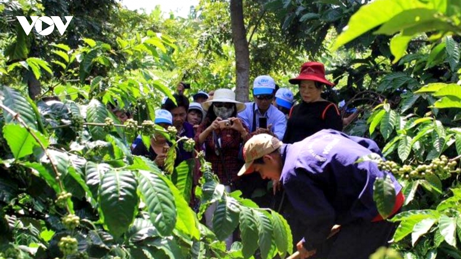 Đắk Lắk triển khai các chương trình phục hồi du lịch